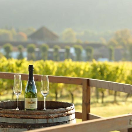 Denbies Vineyard Hotel دوركينغ المظهر الخارجي الصورة