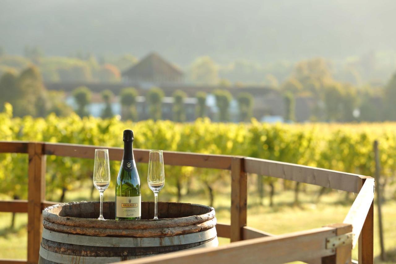 Denbies Vineyard Hotel دوركينغ المظهر الخارجي الصورة