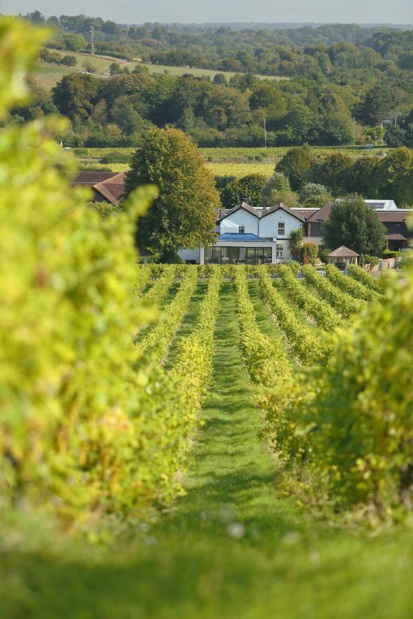 Denbies Vineyard Hotel دوركينغ المظهر الخارجي الصورة