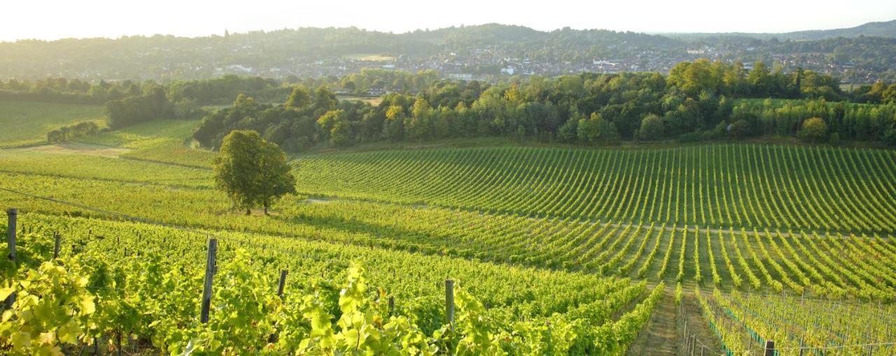 Denbies Vineyard Hotel دوركينغ المظهر الخارجي الصورة