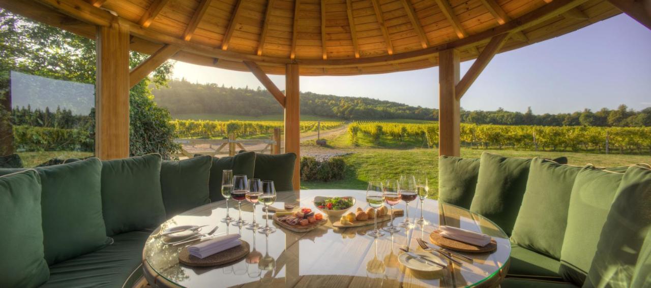 Denbies Vineyard Hotel دوركينغ المظهر الخارجي الصورة