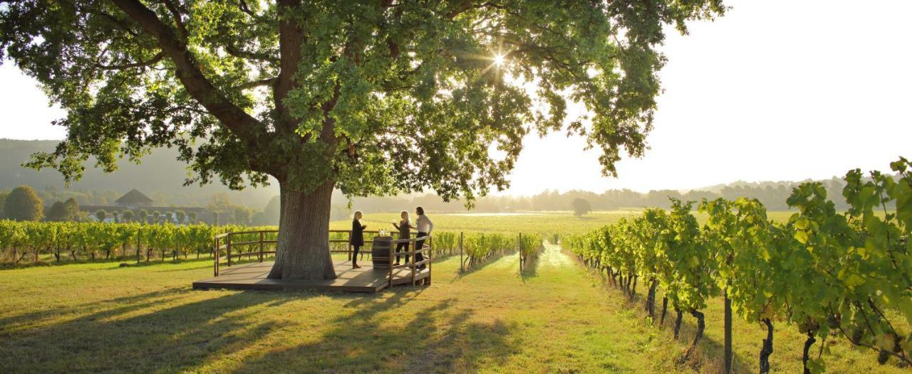 Denbies Vineyard Hotel دوركينغ المظهر الخارجي الصورة