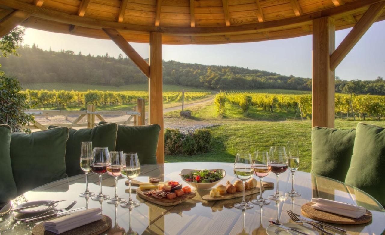 Denbies Vineyard Hotel دوركينغ المظهر الخارجي الصورة