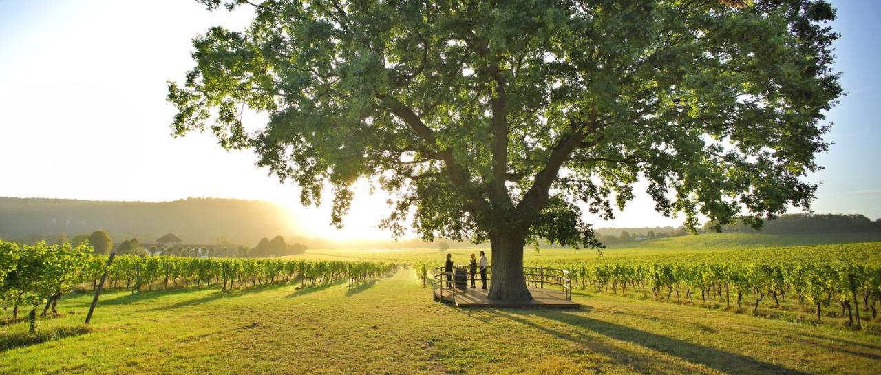 Denbies Vineyard Hotel دوركينغ المظهر الخارجي الصورة