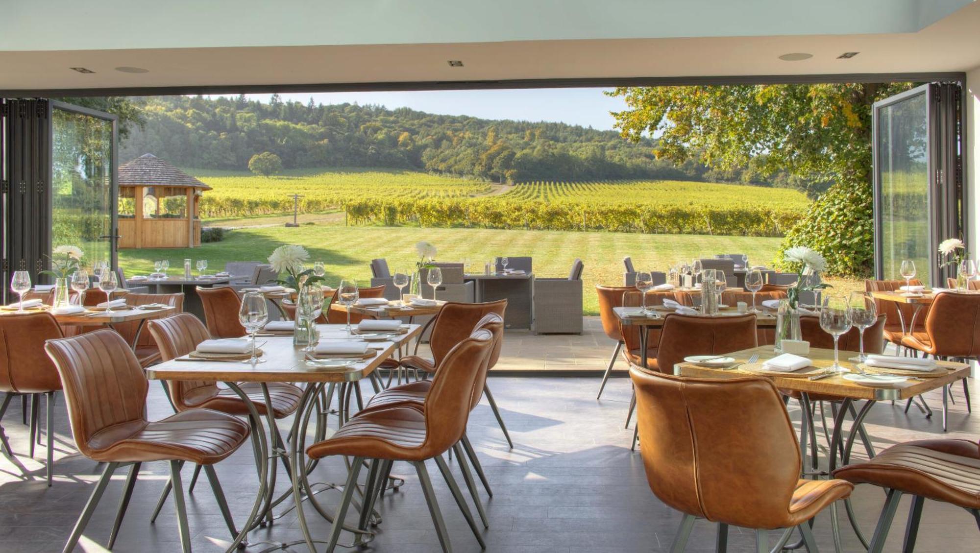 Denbies Vineyard Hotel دوركينغ الغرفة الصورة