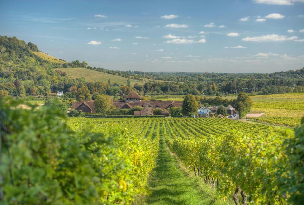 Denbies Vineyard Hotel دوركينغ المظهر الخارجي الصورة